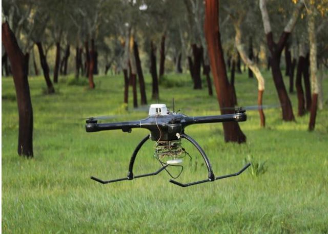 Le GNSS pour mieux cartographier la biomasse