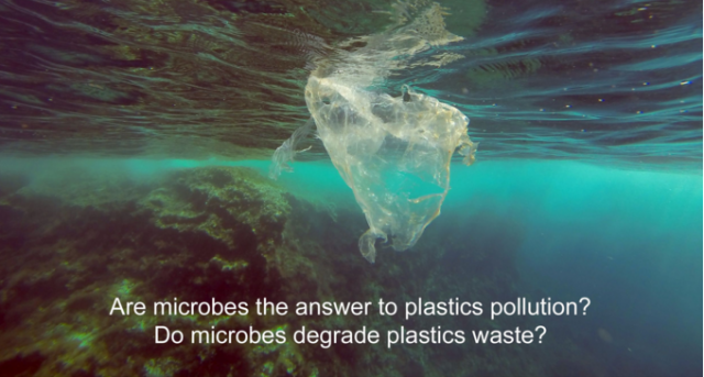 Un nouveau processus biotechnologique pour décomposer les plastiques