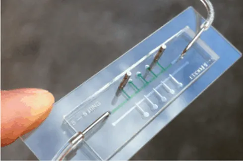 Reproduire le corps humain sur une puce pour tester des médicaments
