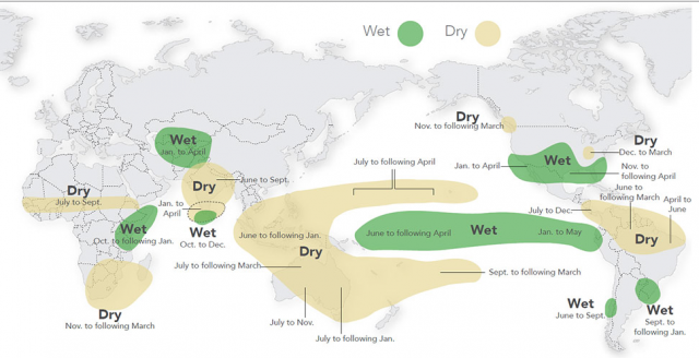 La FAO surveille le phénomène El Niño en cours