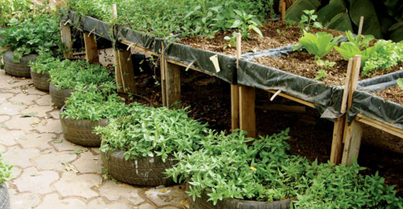 Les micro-jardins dans les zones densément peuplées