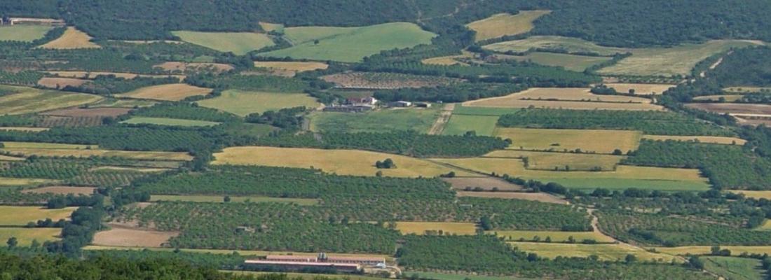 Pour une meilleure comparaison entre agriculture biologique et conventionnelle