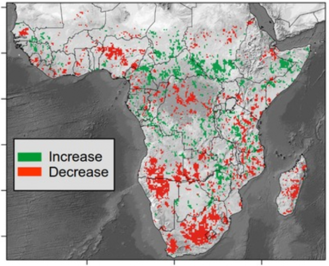 Un nouvel outil pour suivre le bilan carbone de la végétation : première application au continent africain