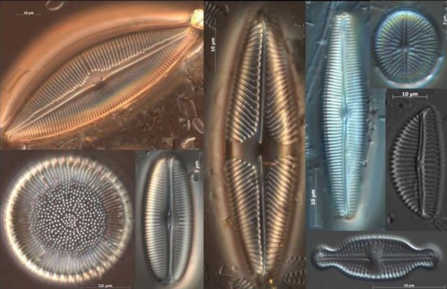 Une campagne estivale inédite de mesure de la pollution des rivières