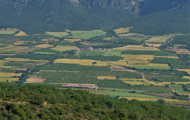 Des mosaïques de cultures plus complexes pour une plus grande biodiversité dans les paysages agricoles
