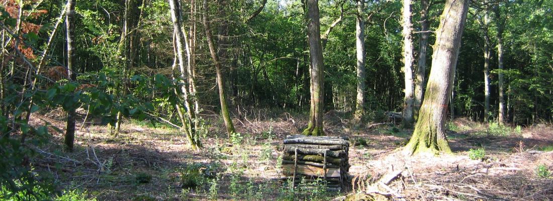 Gestion durable des sols en forêt - Lancement de l’application mobile For-Eval