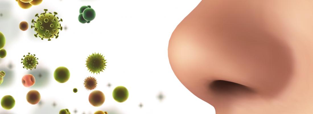 Perte d’odorat: le SARS-CoV-2 n’infecterait pas les nerfs olfactifs