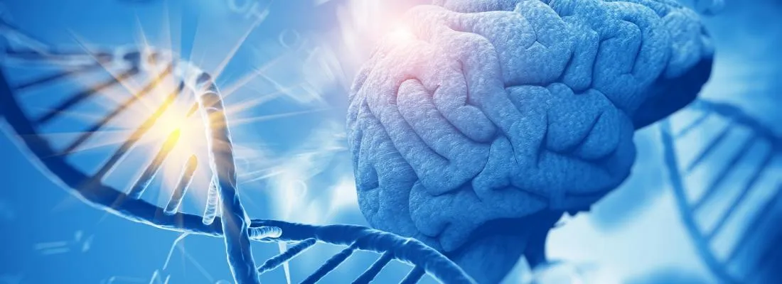 Deux mutations rares chez l’Homme responsables de la toxicité du traitement contre la gale