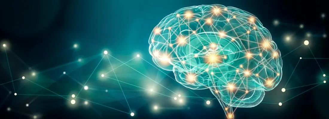 Un déficit en oméga 3 chez la mère impacte le développement du cerveau de l'enfant