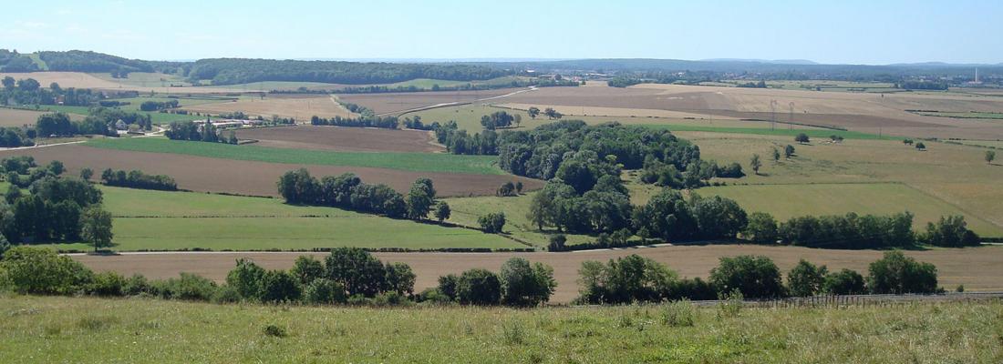 Les effets de l’augmentation du CO2 atmosphérique sur l’agriculture
