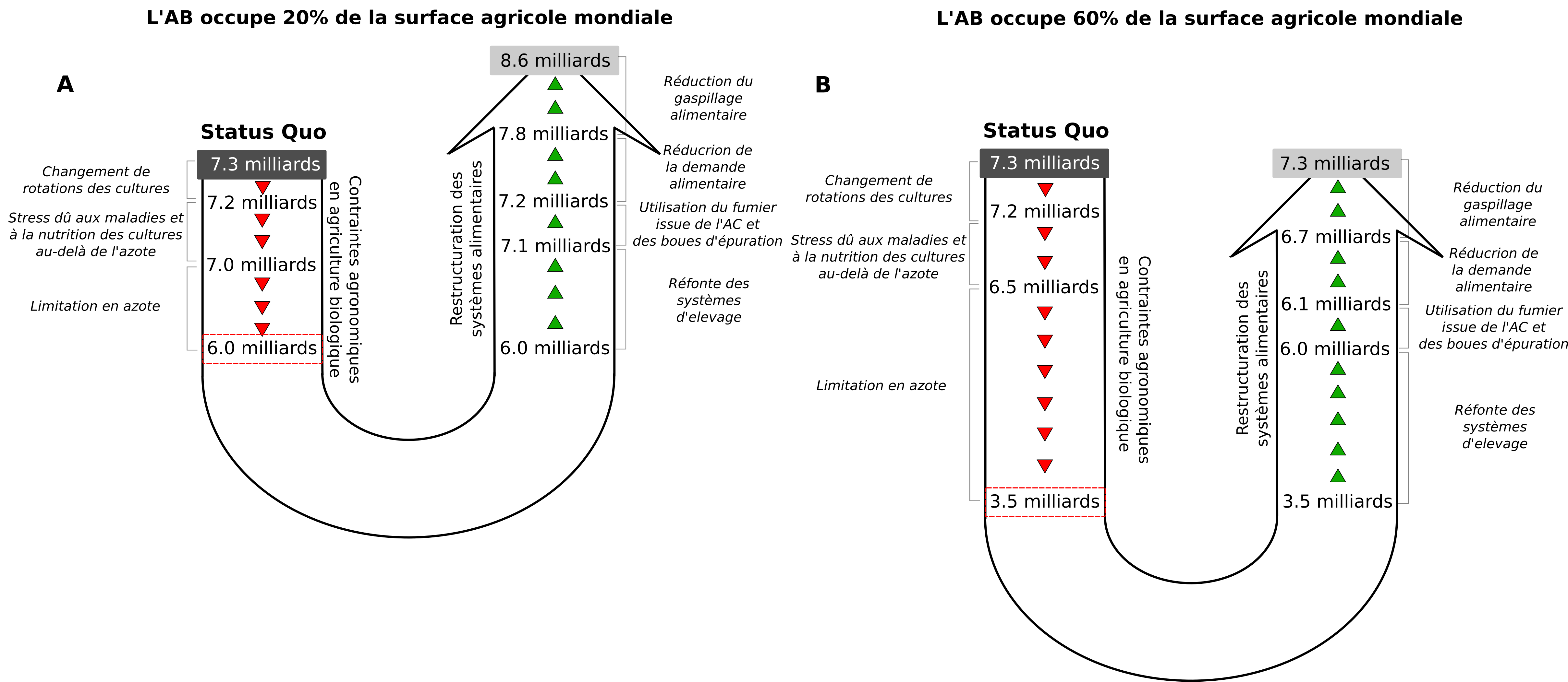 L’azote: un élément clé pour le développement de l’agriculture biologique