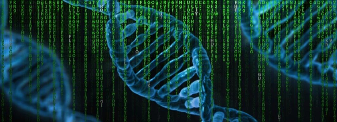 Des virus infectant des bactéries: quand les virus deviennent nos amis