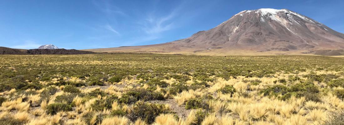 Résilience des plantes aux environnements extrêmes: une approche innovante