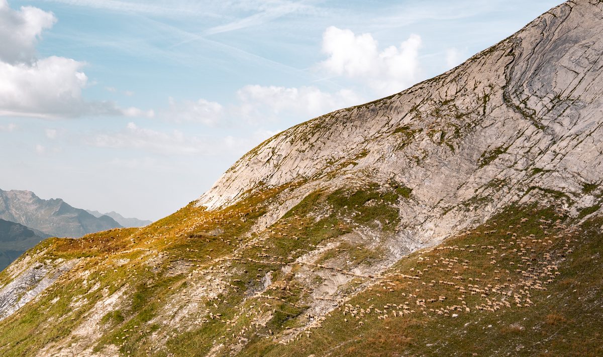 ⛰️ Depuis 3800 ans, l'homme 'aplatit' sans le savoir les montagnes : voici comment