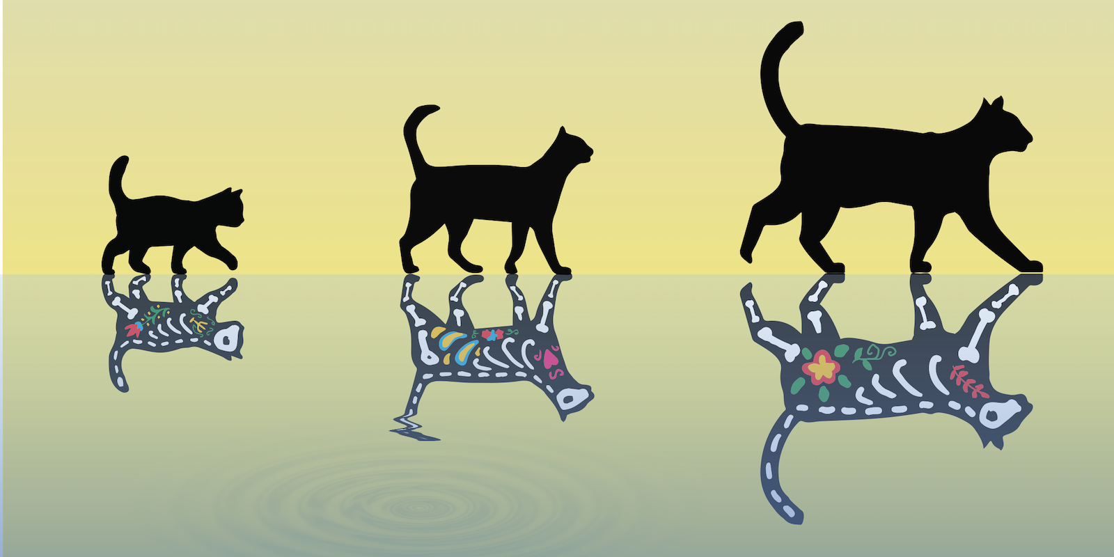 Quantique: des chercheurs créent un chat de Schrödinger GÉANT visible à l'œil nu