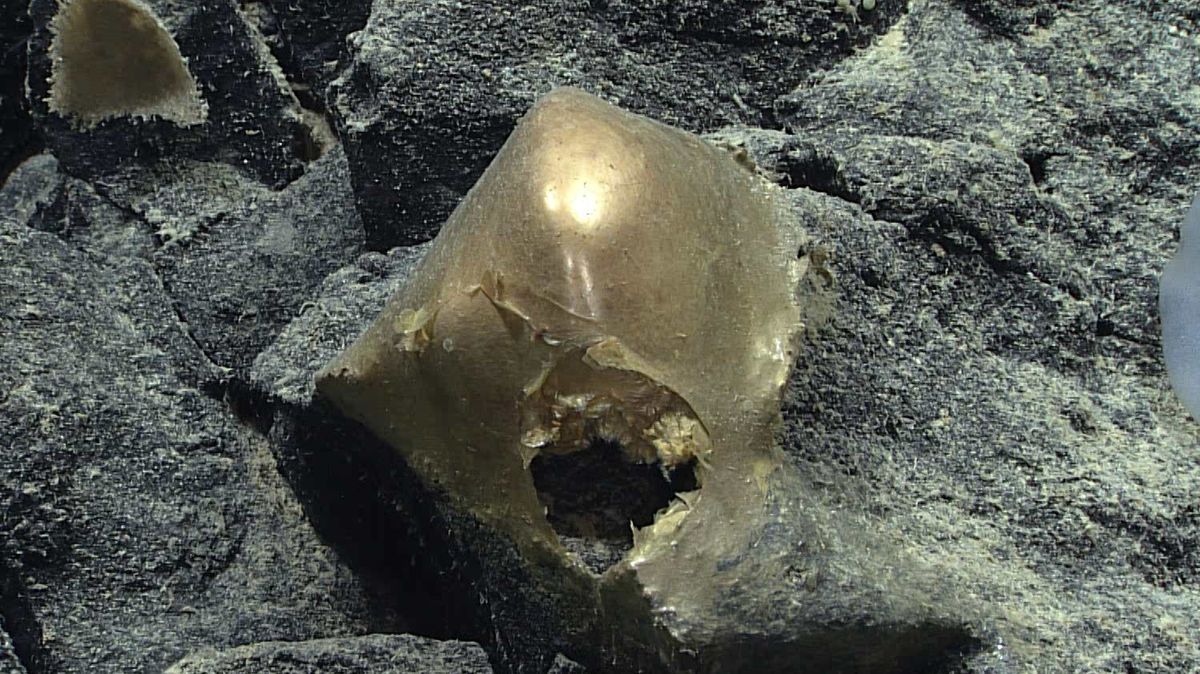 Ce mystérieux "orbe doré" laisse les scientifiques perplexes
