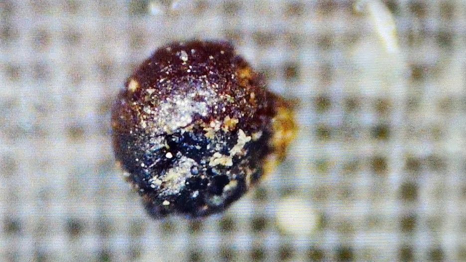 Ces sphères extraterrestres produites par... du charbon ?