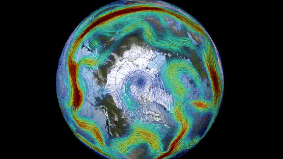 The Earth's polar vortex has reversed: causes and consequences
