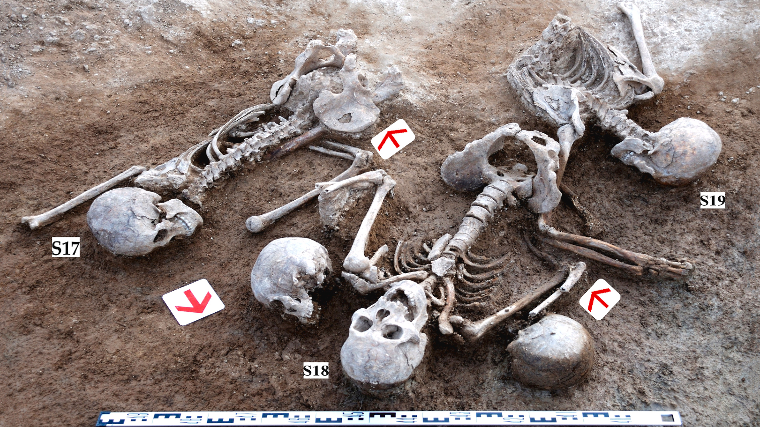 Esta vala comum revela uma história de violência extrema e respeito ⚔️