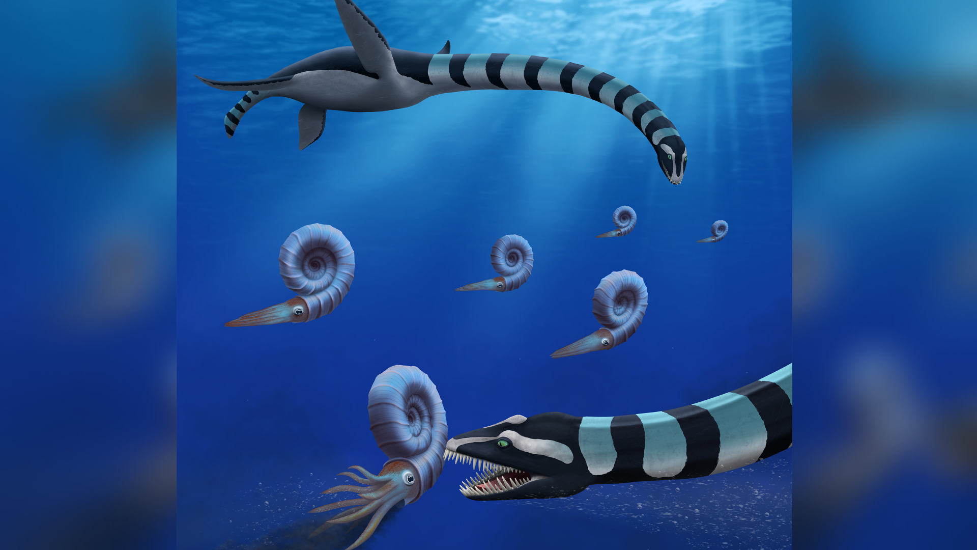Um monstro marinho pré-histórico finalmente identificado após 35 anos de mistério