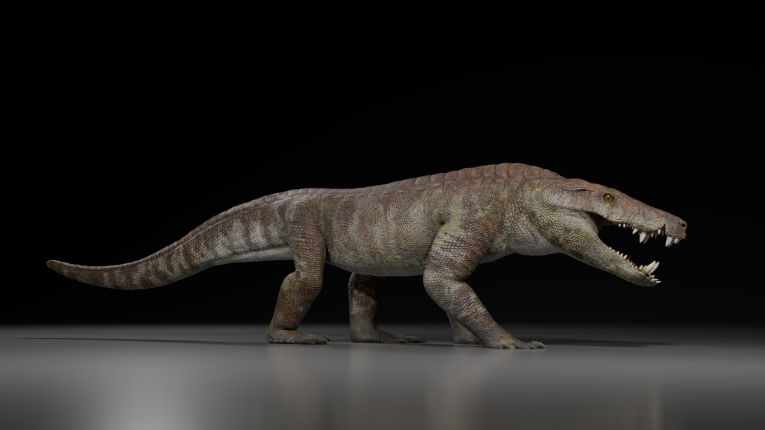 🍖 Découverte d'un prédateur hypercarnivore mangeur de dinosaures