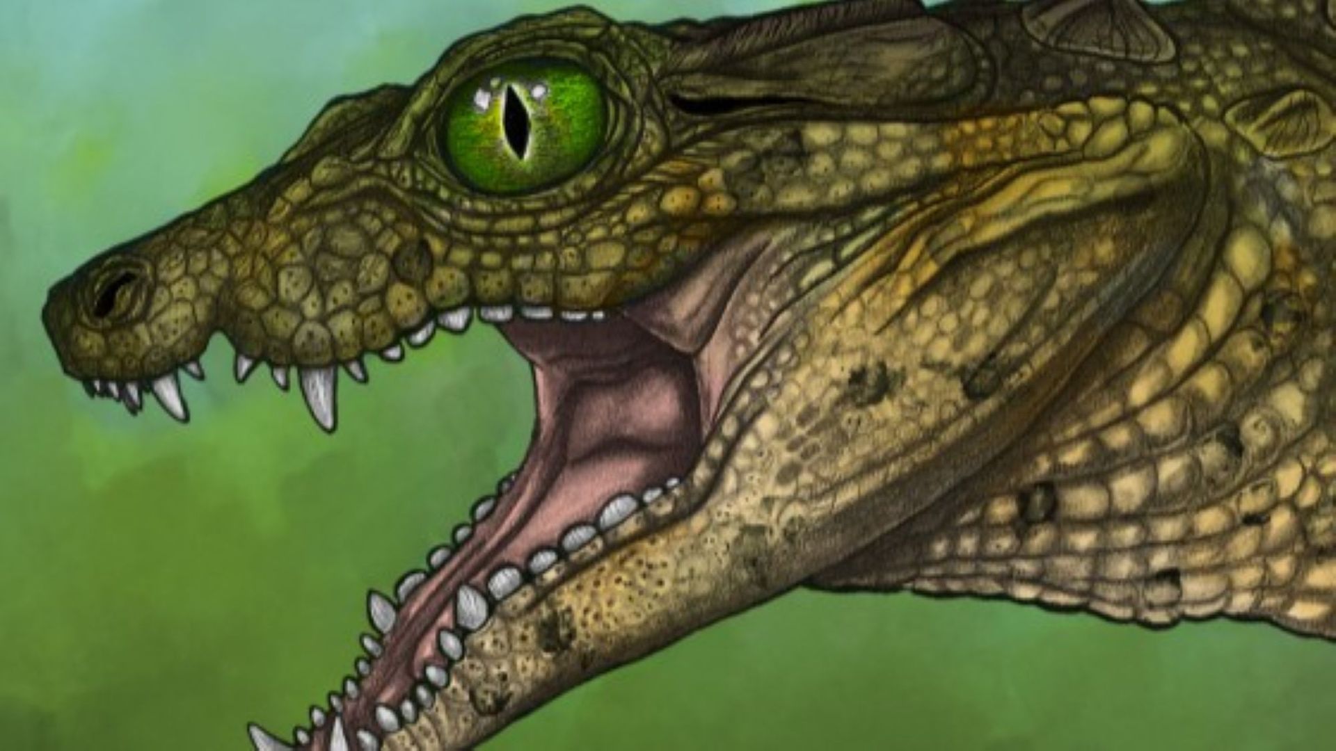 🐊 Ancient mini-crocodile discovered in the United States