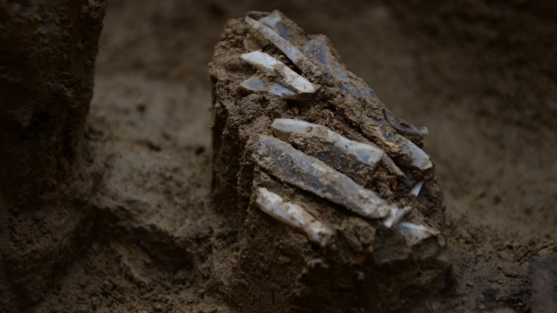 👜 Exceptional discovery: a prehistoric hunter's toolkit dating back 30,000 years