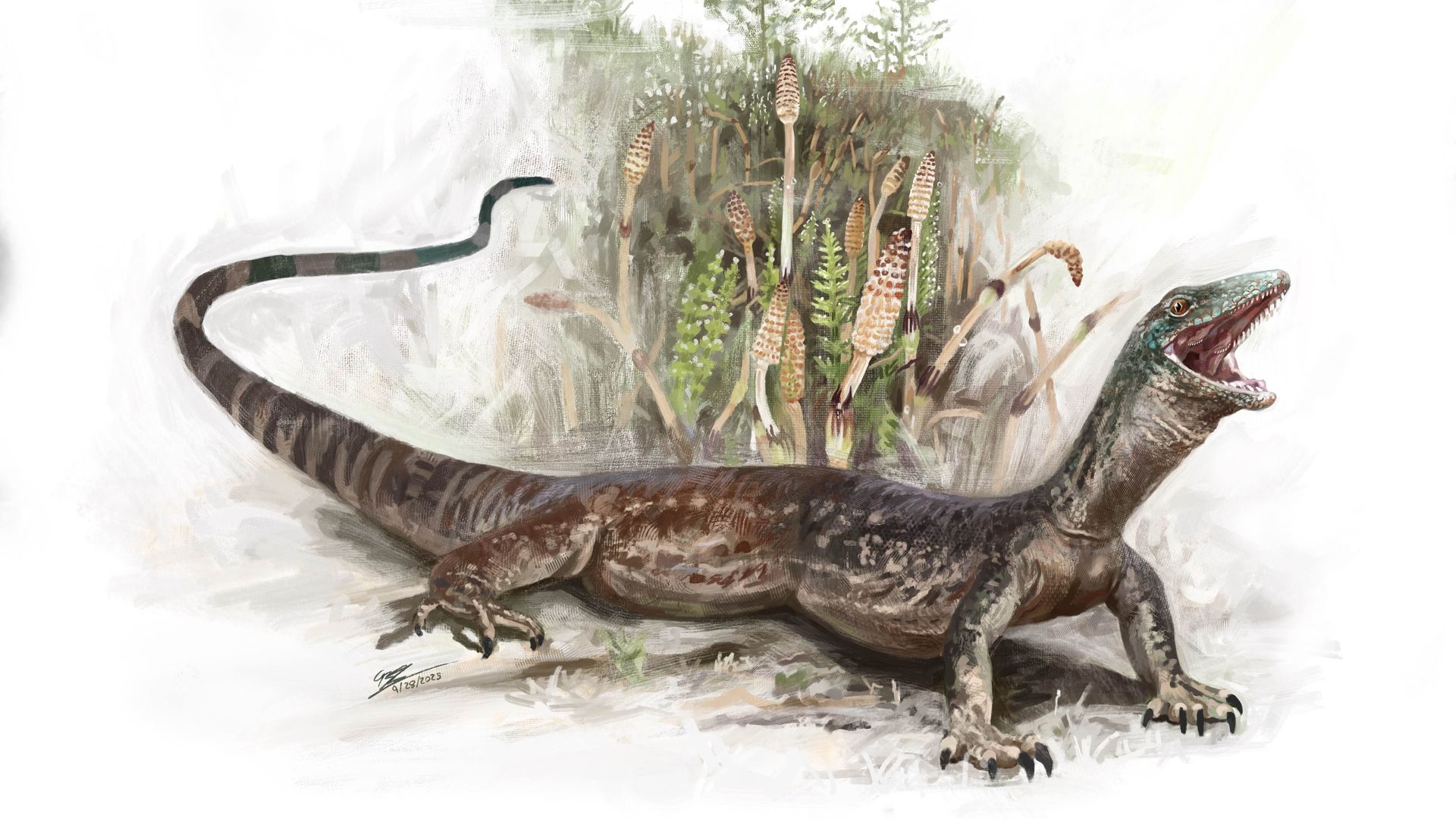🦎 Discovery of a hybrid lizard-snake reptile in Scotland!