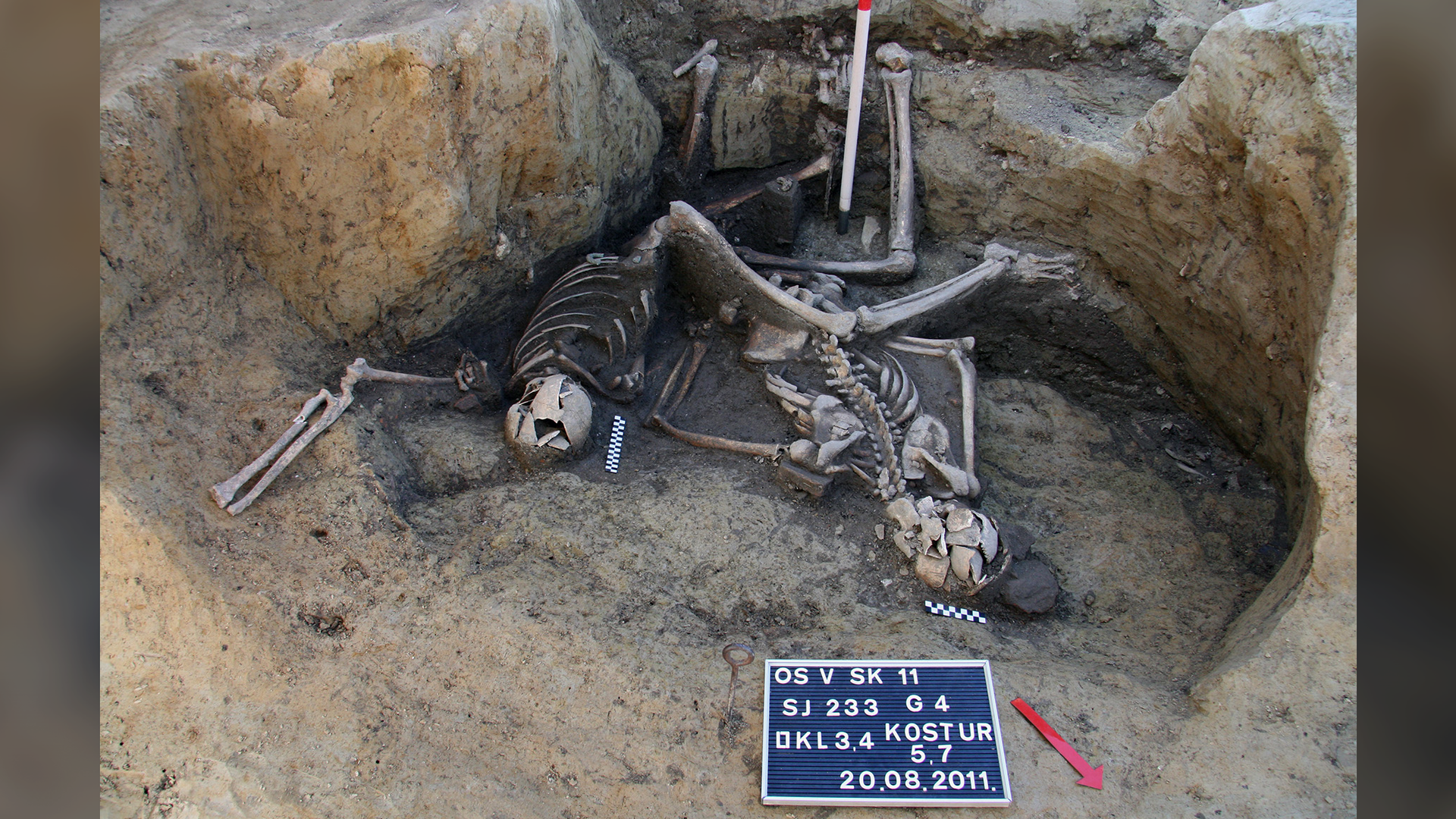 💀 Macabre discovery of 7 Roman soldier skeletons thrown into a well