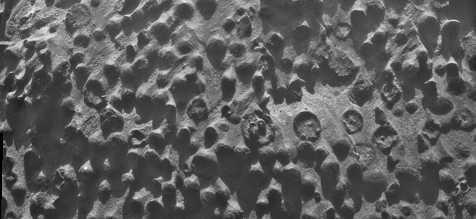 Des myrtilles mystérieuses découvertes sur la surface de Mars