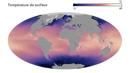 Quelques enseignements du « hiatus » dans le réchauffement climatique