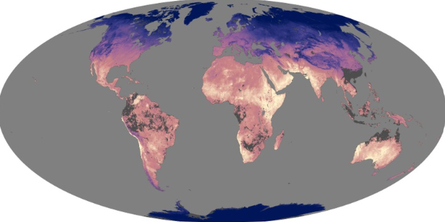 Les variations orbitales comme forçage majeur du climat Éocène-Oligocène