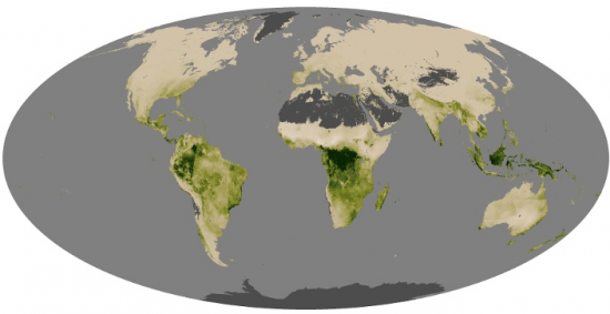 Reprise de l’augmentation des émissions mondiales de CO2 d’origine fossile en 2017