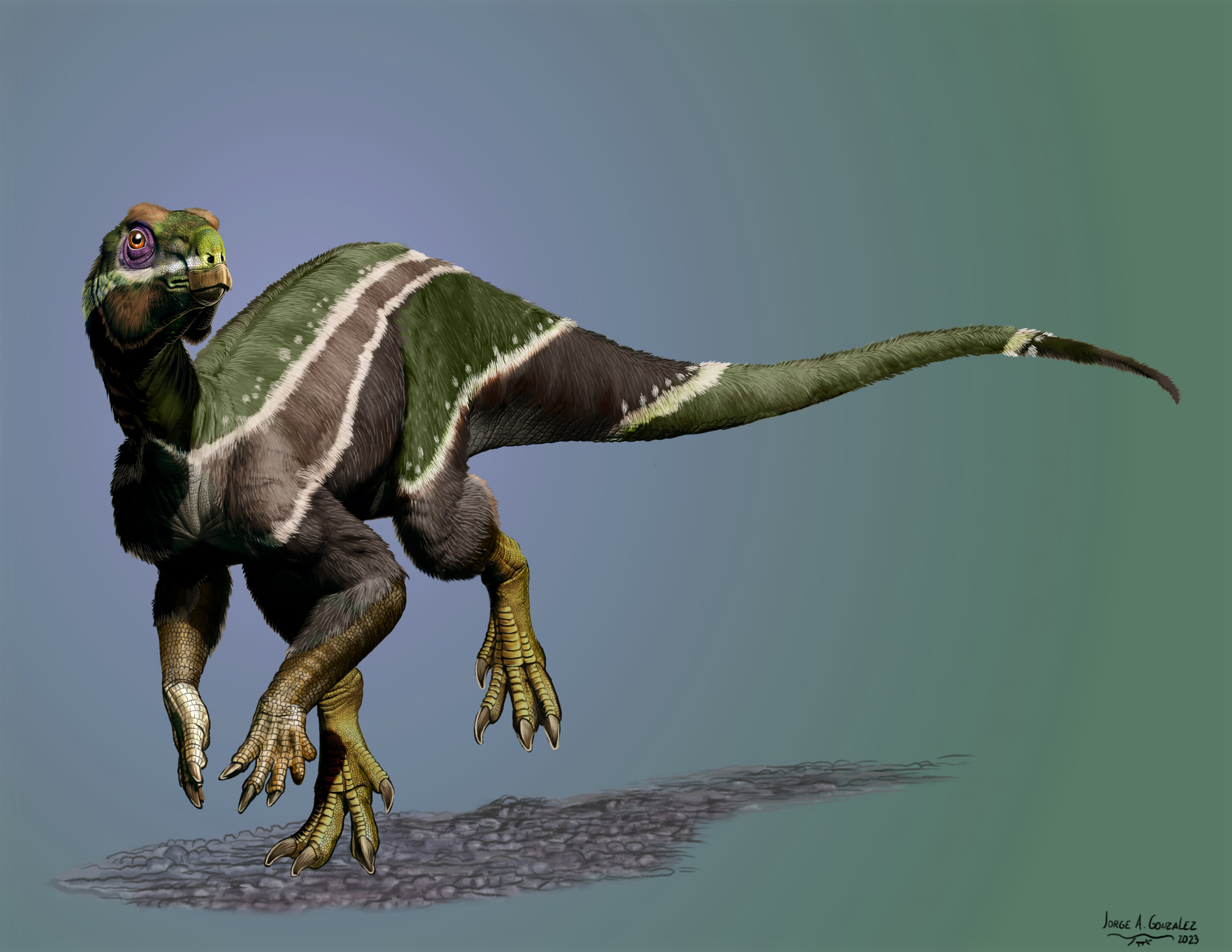 Iani smithi: ce dinosaure a connu le changement climatique