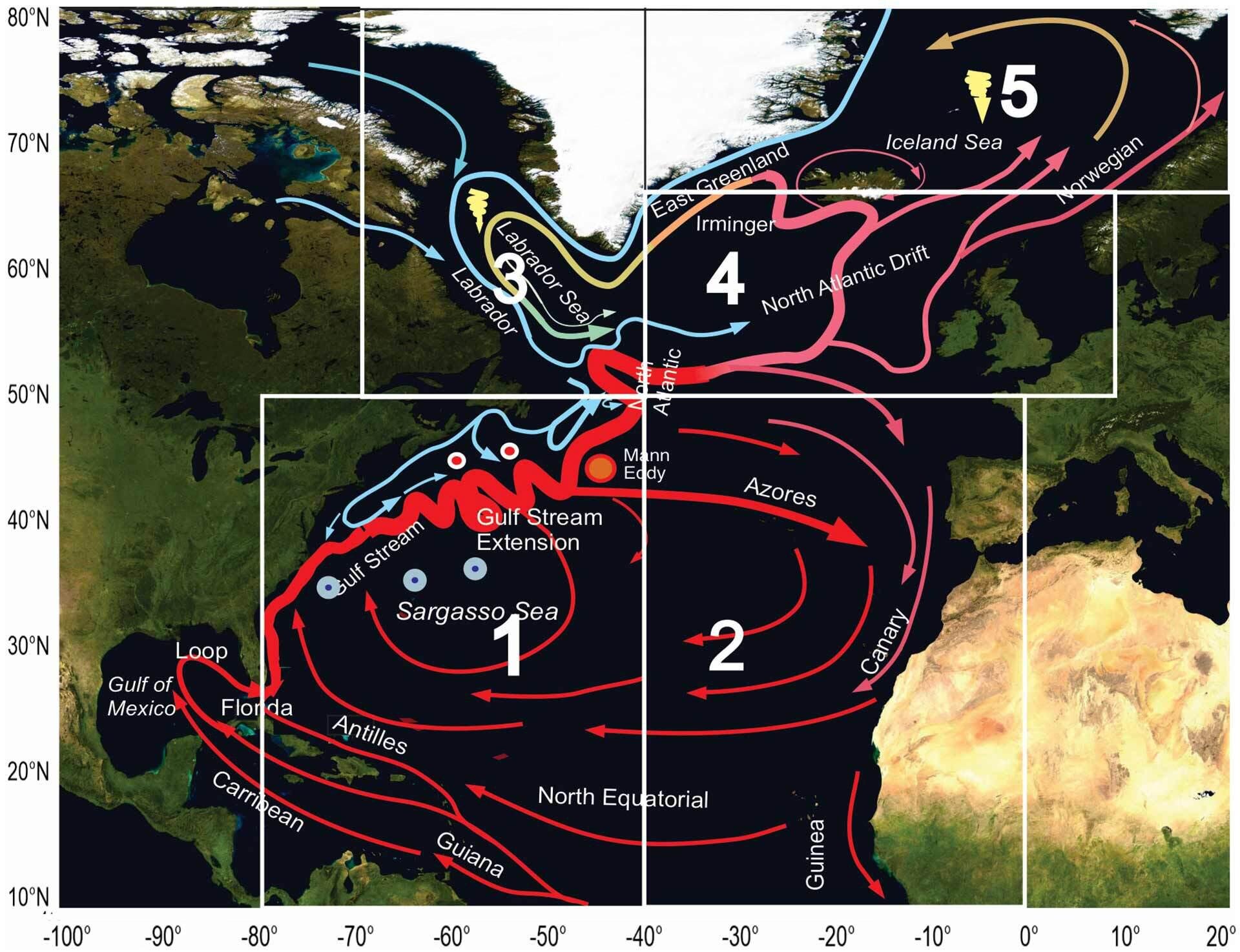 Significant slowdown of major ocean currents: severe repercussions?