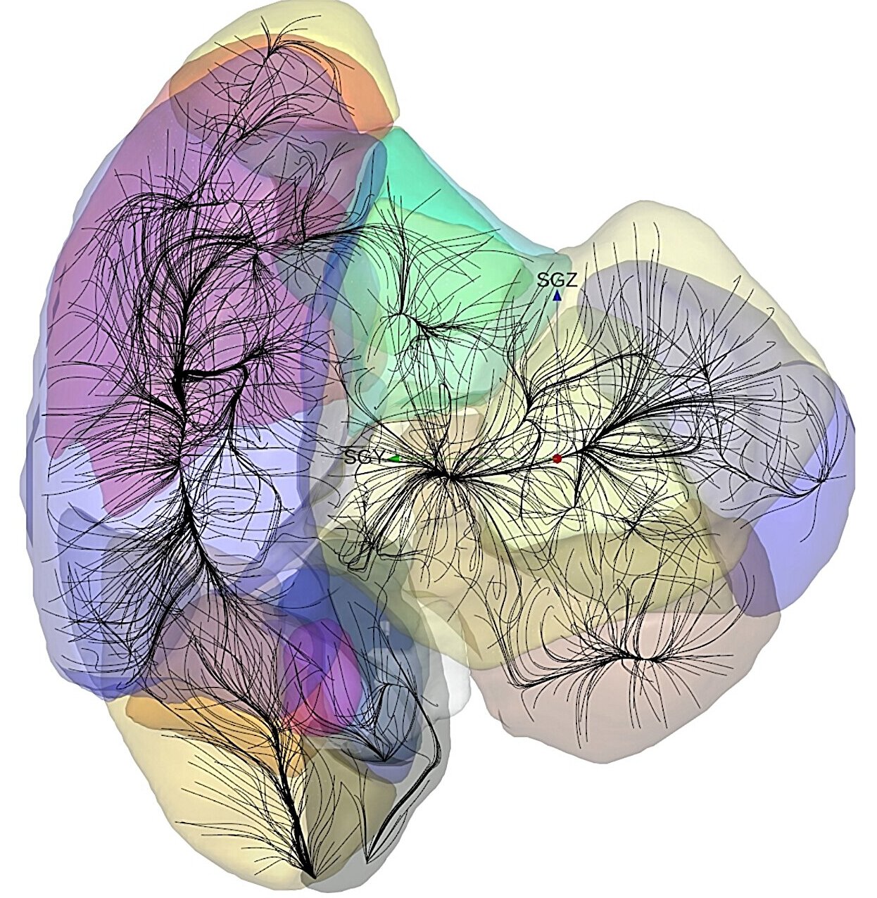 Discovery of a gravitational super-basin in the Universe, encompassing our galaxy