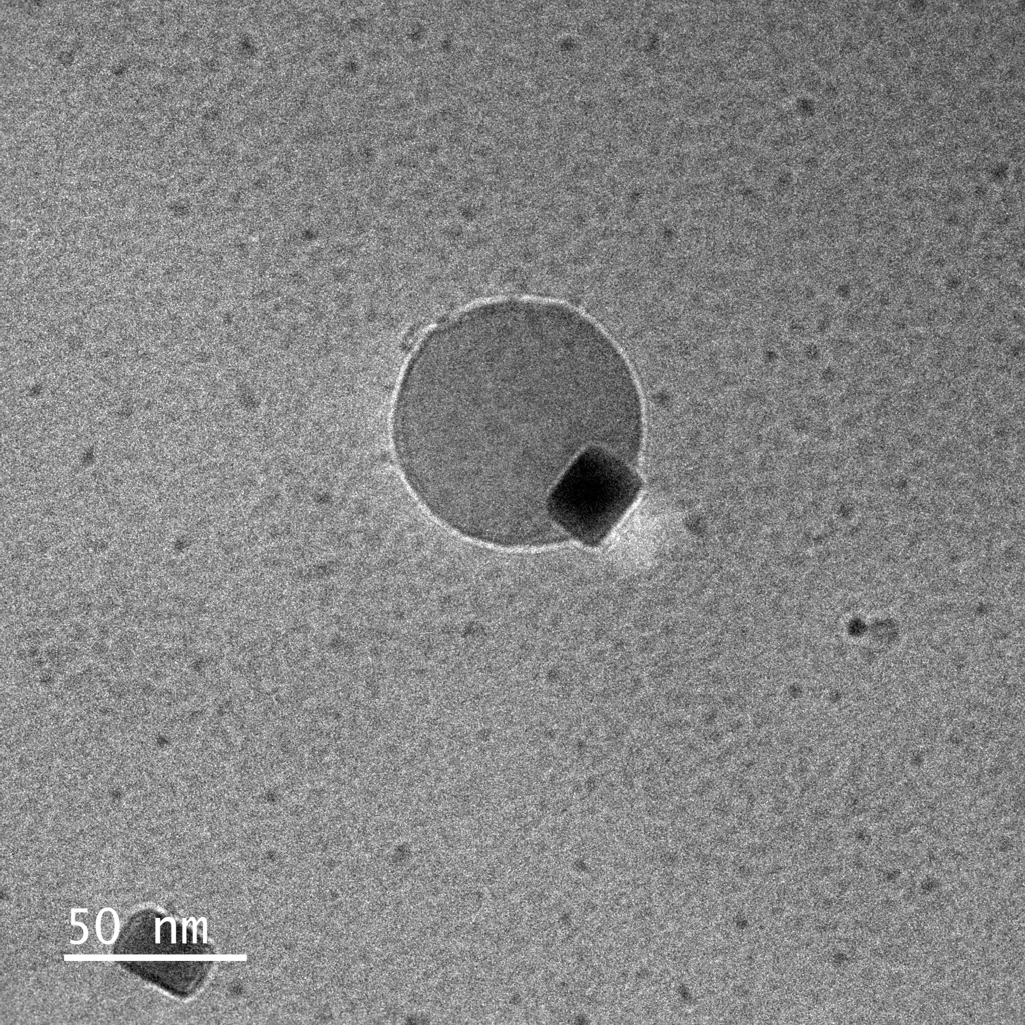 Observation of water molecule formation in real time