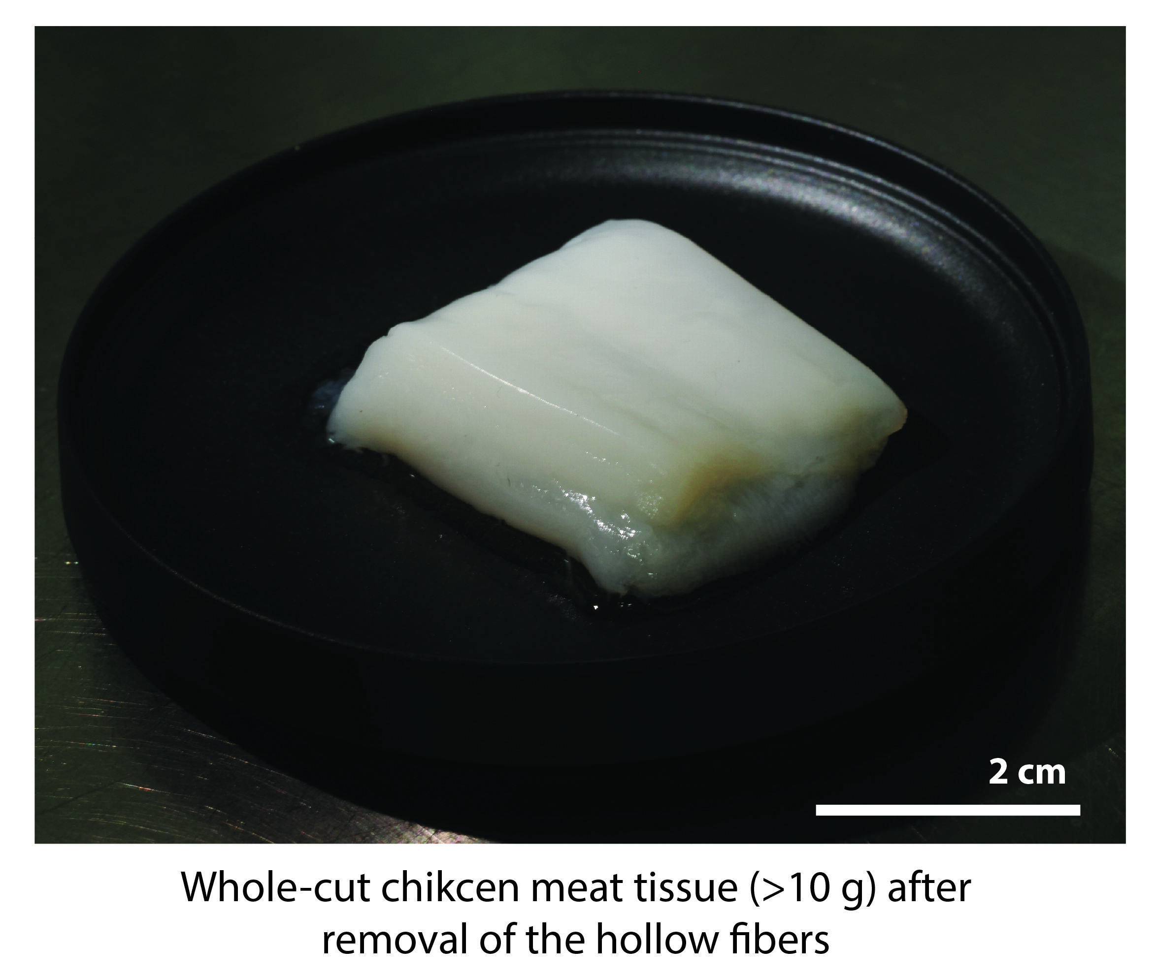 Here are 10 grams of chicken meat... grown in a lab 🍗