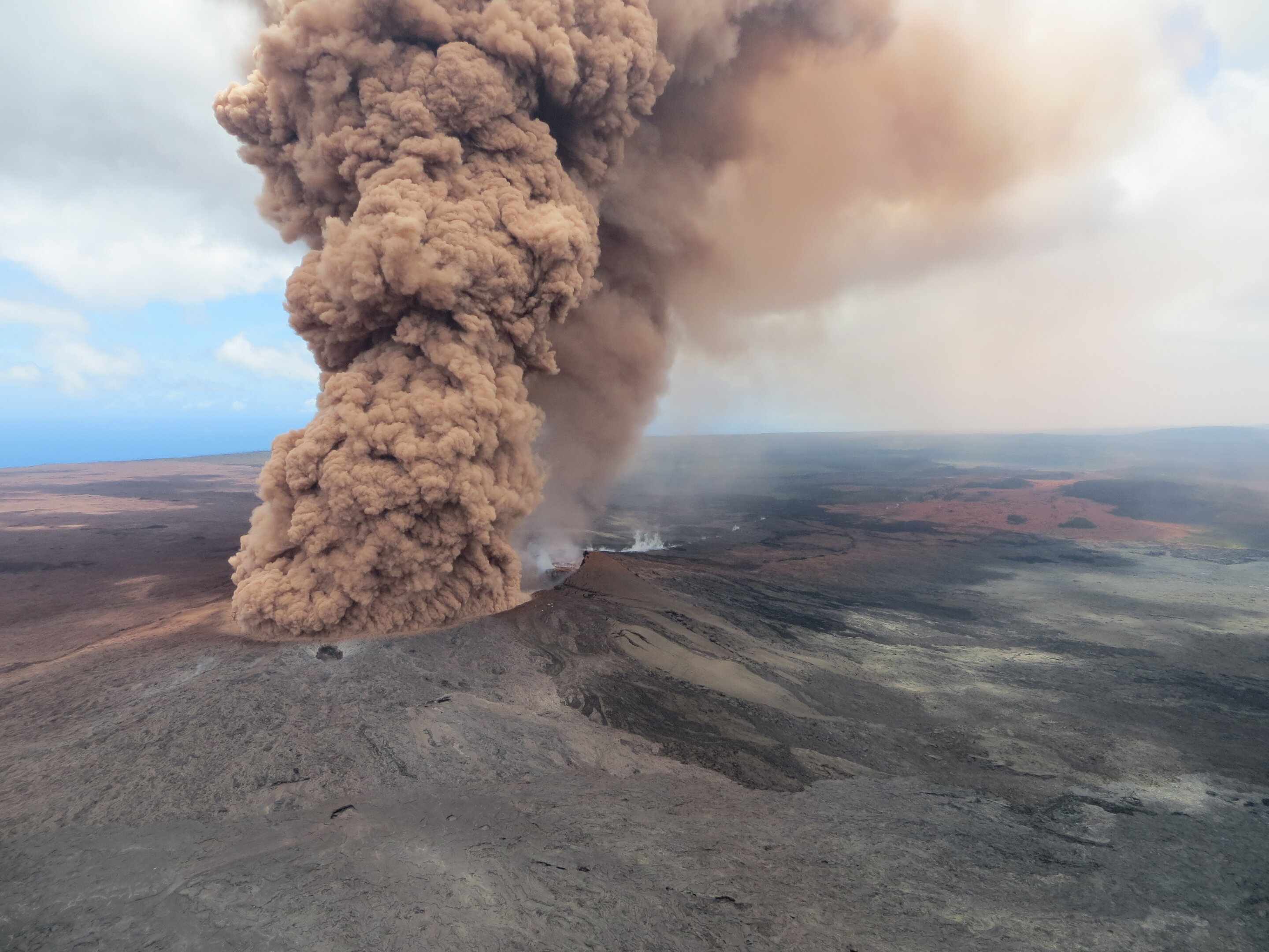 A volcanic eruption in 2018 responsible for an explosion of life 🌋