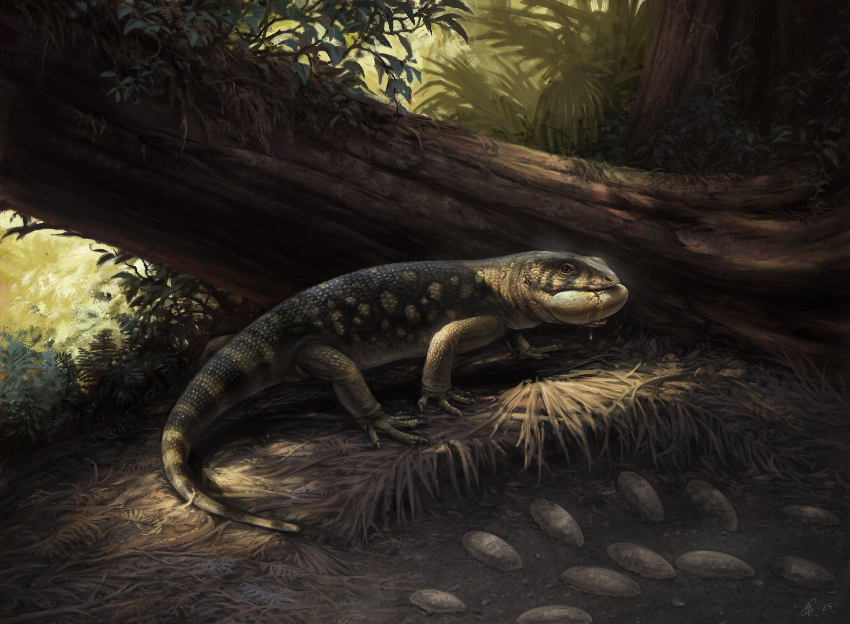 🦎 Um lagarto gigante, monstersauro típico do universo Tolkien, descoberto em... um museu