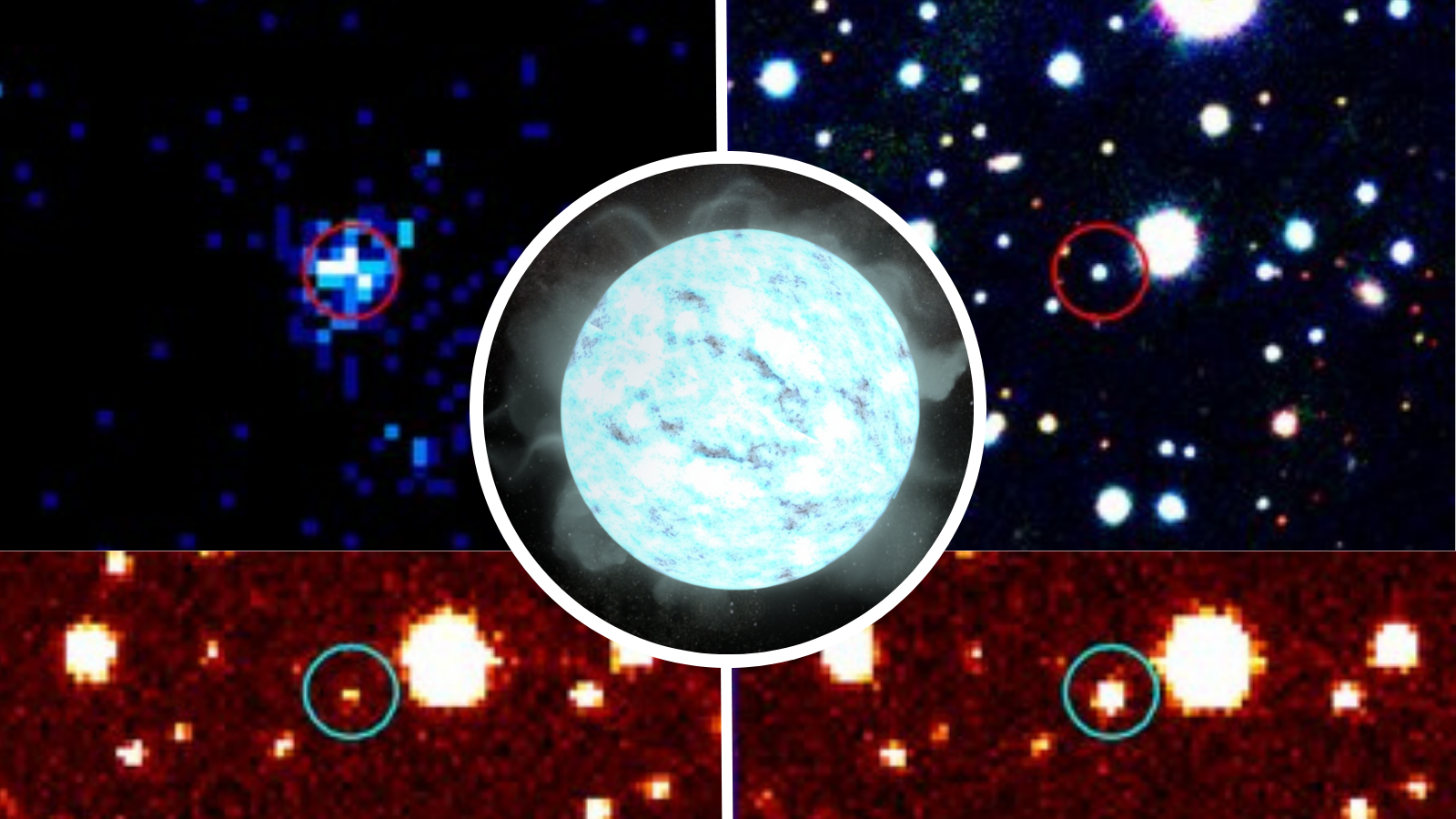 🔭 Découverte d'une très rare naine blanche vampire