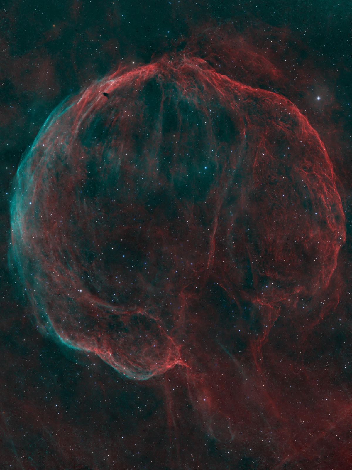 ✨ Um astrofotógrafo amador captura um "cérebro gigante" no espaço