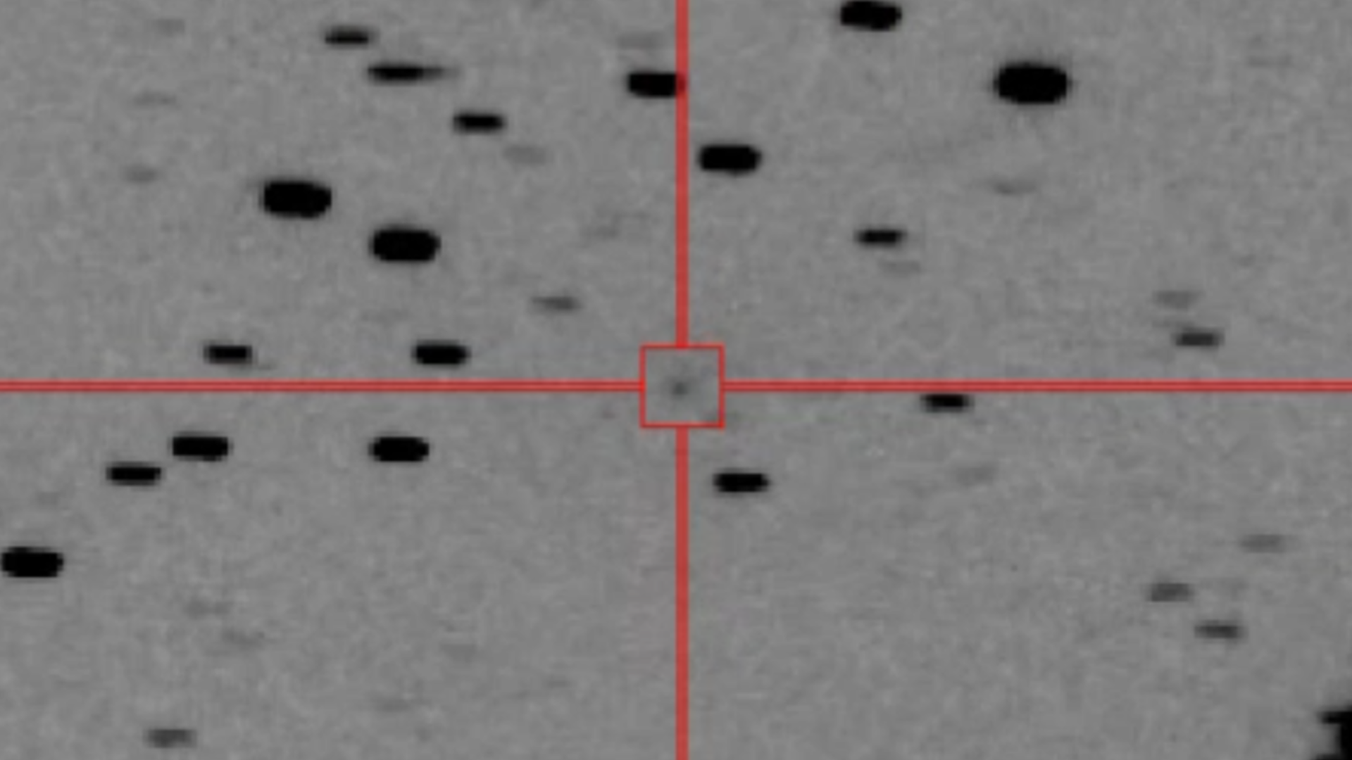 ☄️ MAPS: cette nouvelle comète pourrait être visible à l'œil nu... ou disparaitre