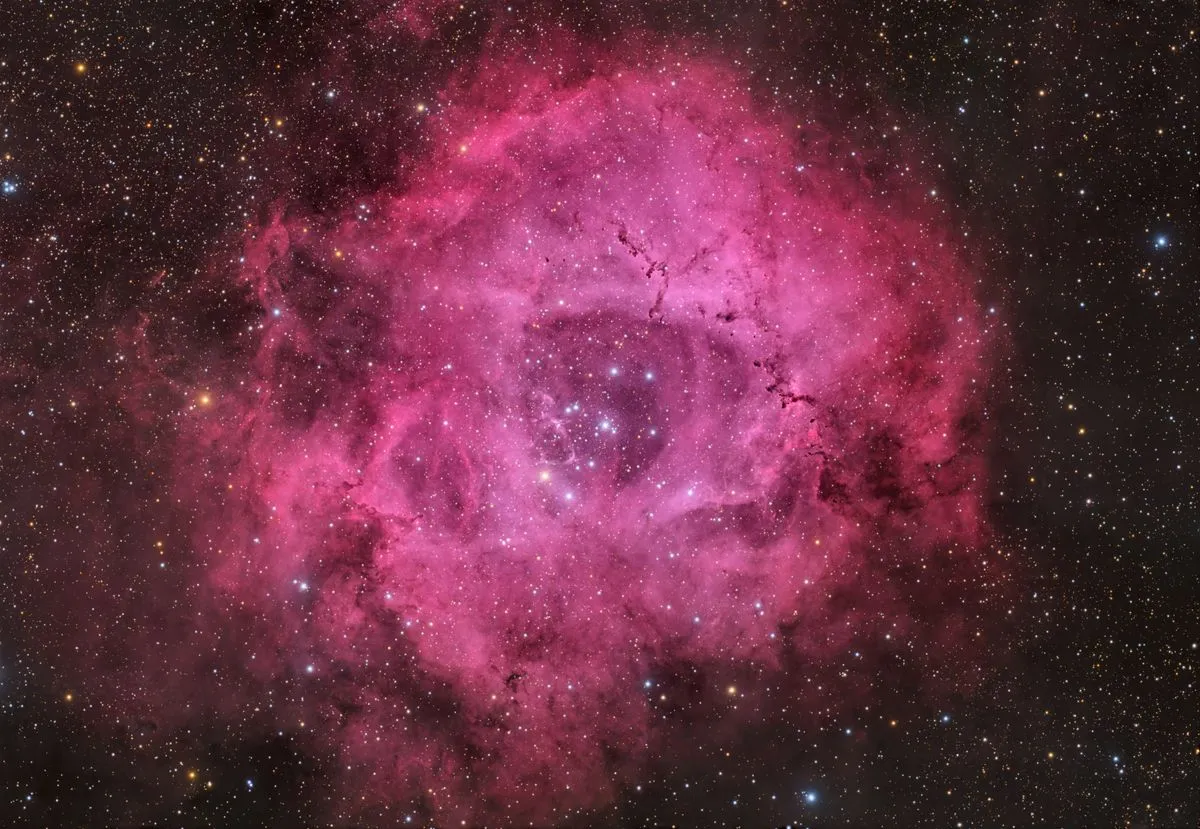 🌹 Une rose cosmique à 5 000 années-lumière de la Terre