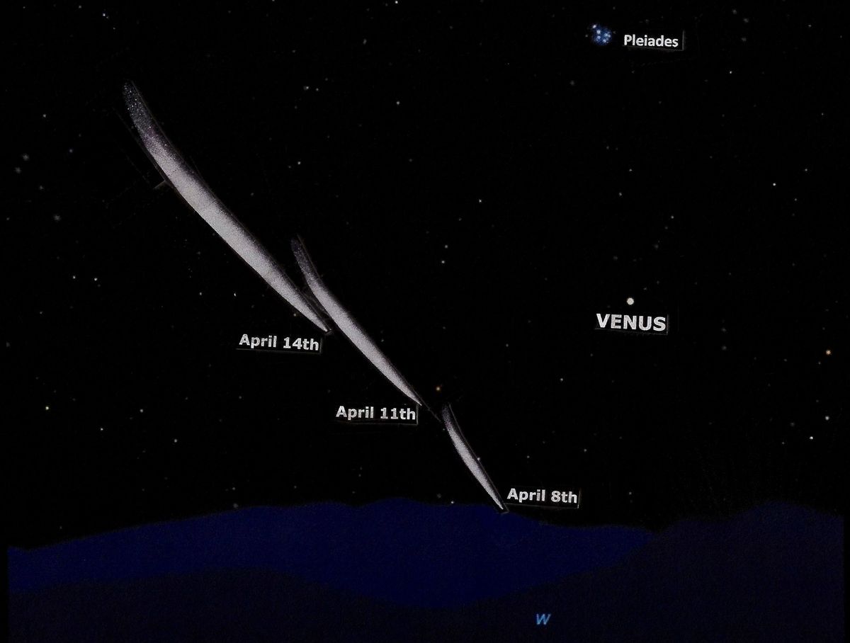 💫 La nouvelle comète MAPS sera visible début avril, si elle survit...