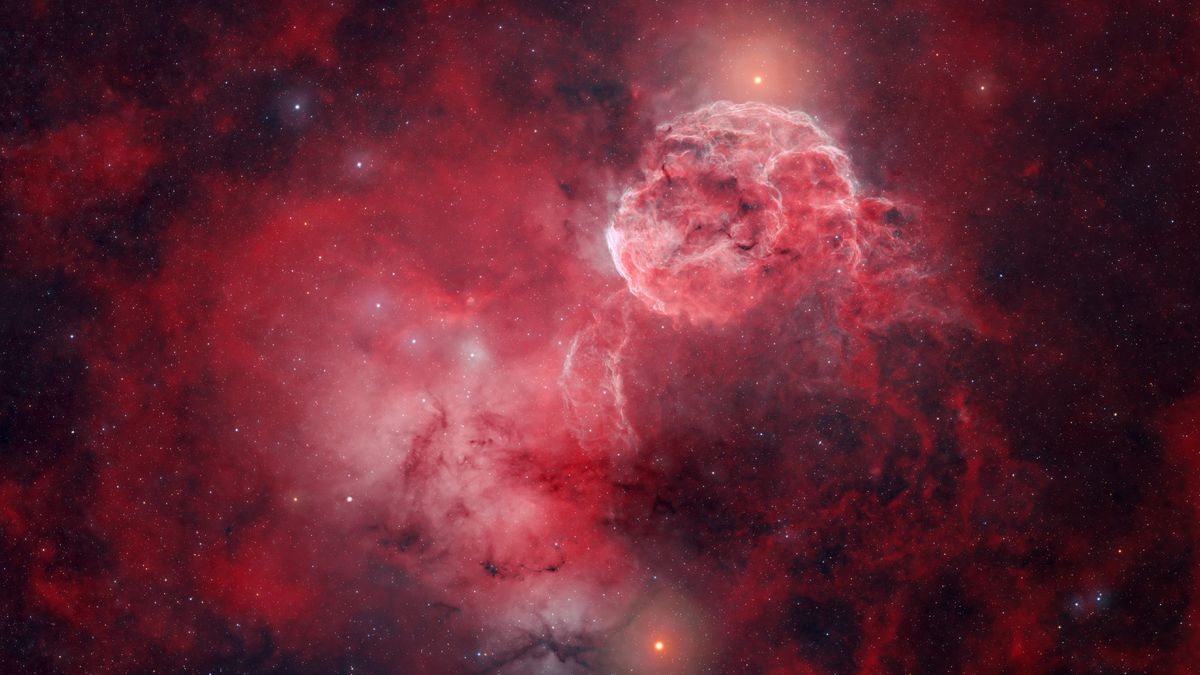 🔭 Méduse ou cerveau humain ? Un photographe amateur capture une nébuleuse spectaculaire !