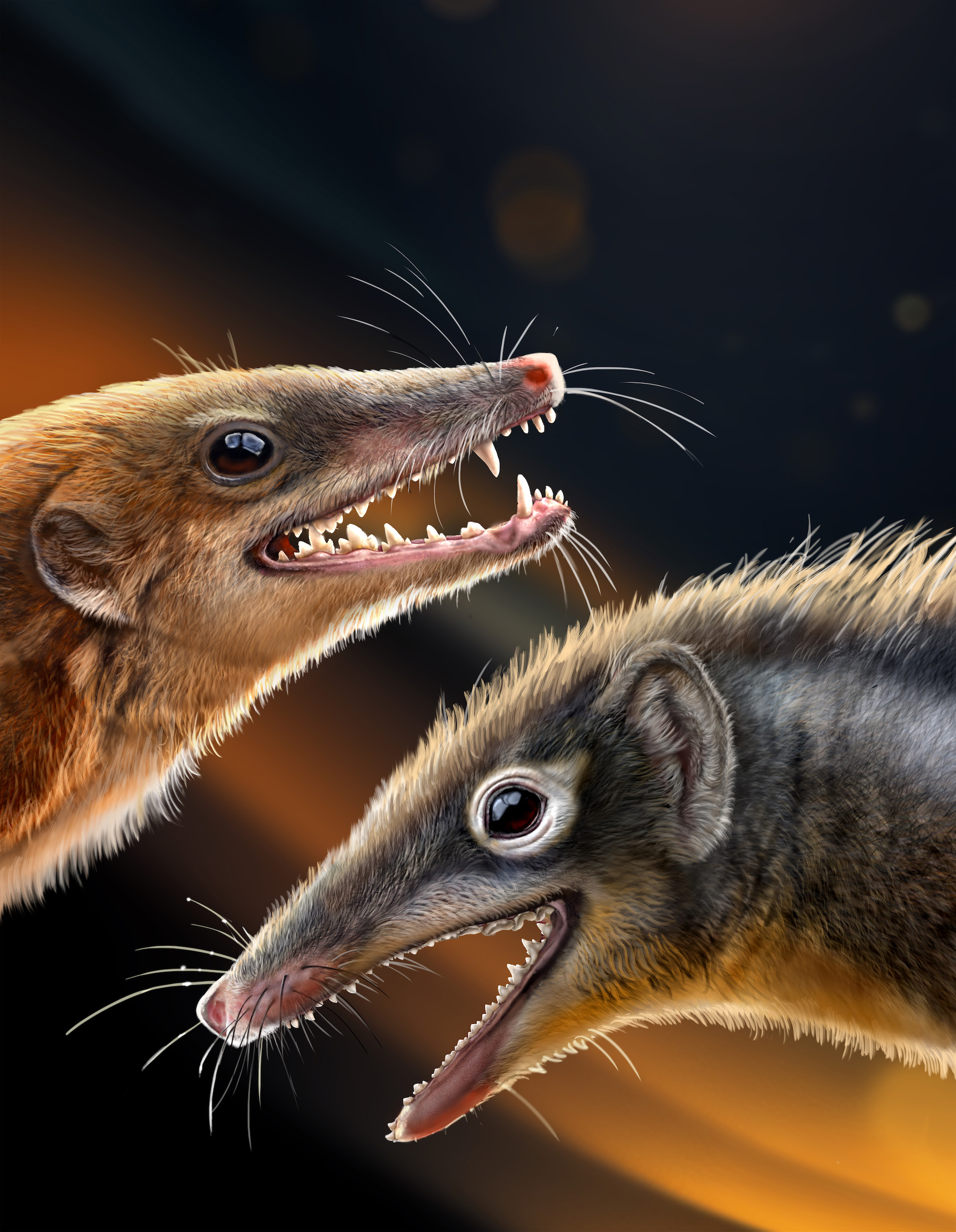Our ancestors in the age of dinosaurs
