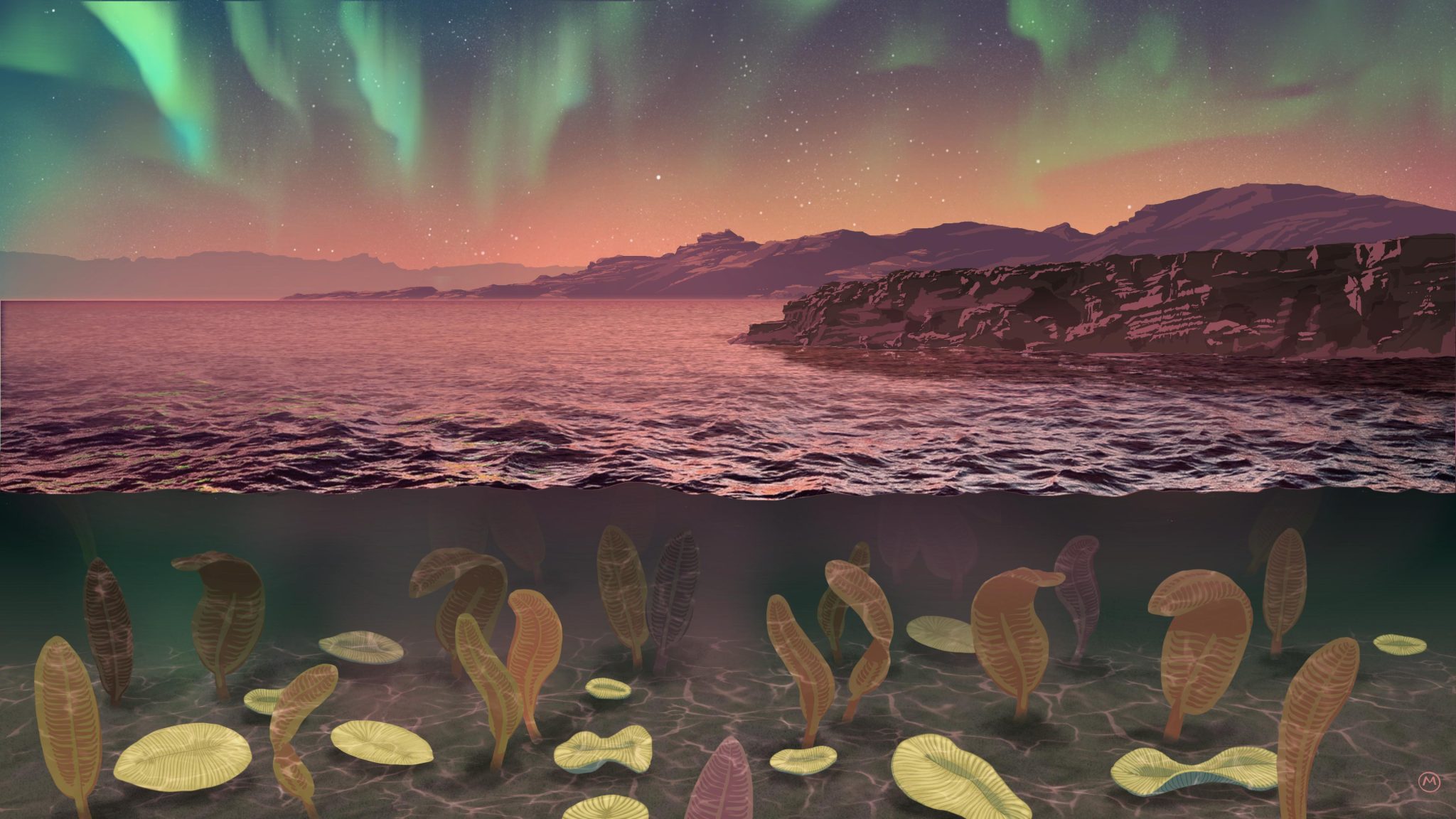 Is Earth's weakened magnetic field responsible for complex life?