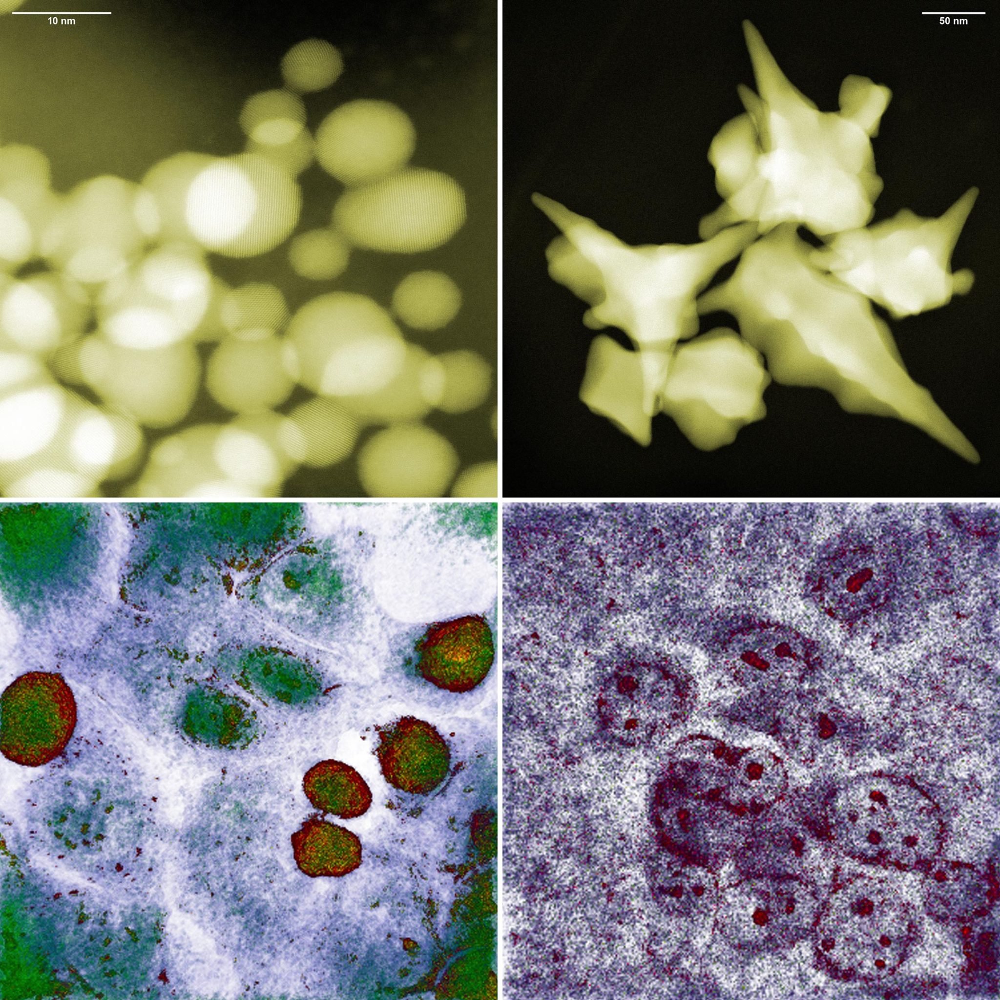 Ces shurikens en or se révèlent efficaces contre le cancer