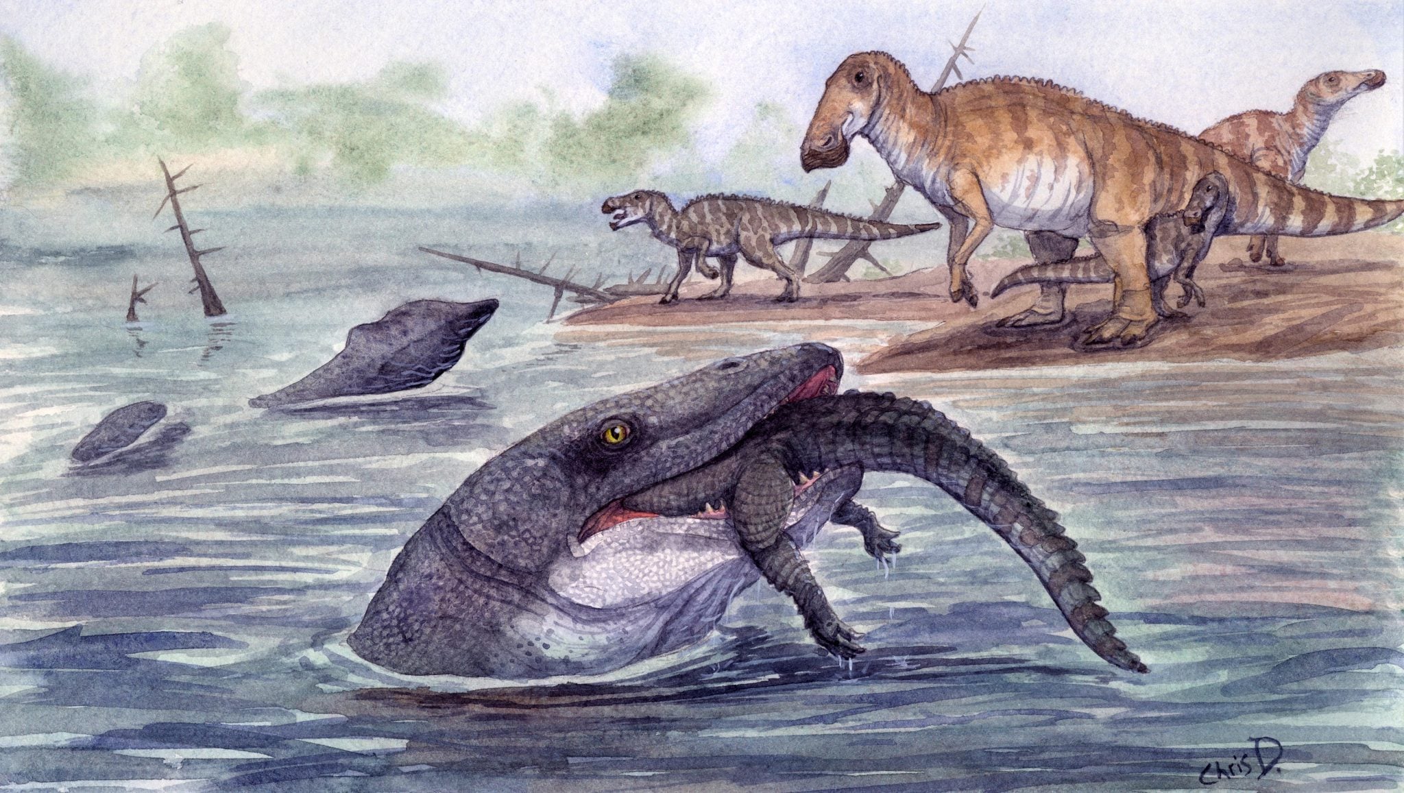 🦕 Os mossassauros, monstros dos oceanos do Cretáceo, também viviam nos rios